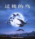 迁徙的鸟