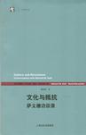 文化与抵抗