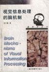 视觉信息处理的脑机制