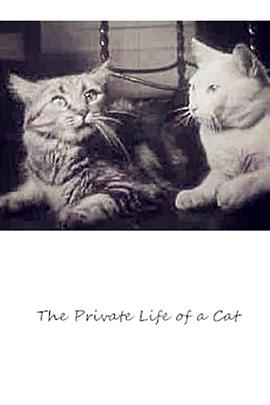 猫的私生活