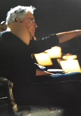 卡拉扬在萨尔茨堡