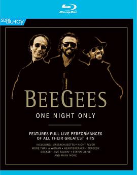 Bee Gees: One Night Only