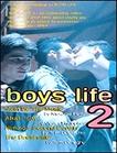 男孩的生活2