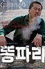绿头苍蝇
