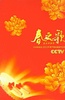 2011年中央电视台春节联欢晚会