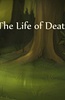 死神和鹿