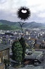 恶之华