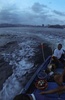 他们的海