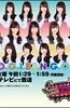 NOGIBINGO!6