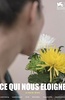 人生若只如初见