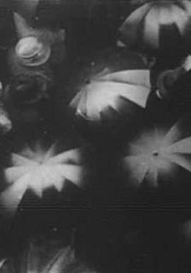 雨