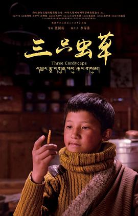 少年桑吉