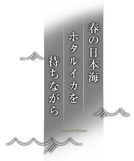 纪实72小时 春天的日本海 等待荧光乌贼
