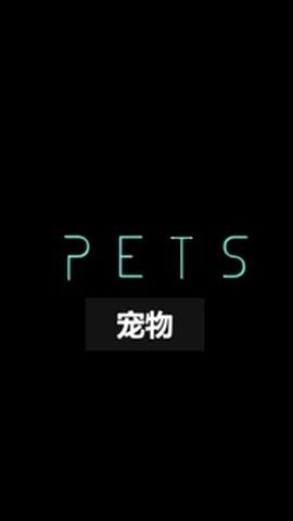 宠物
