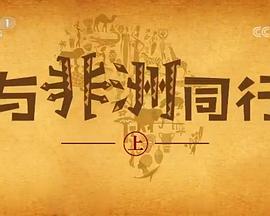 与非洲同行