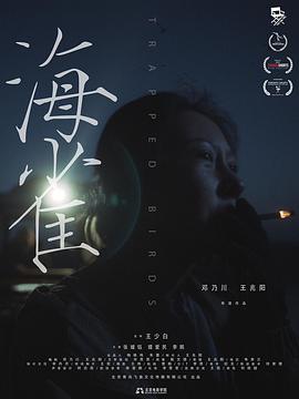 海雀