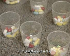 省钱健康吃 第六季