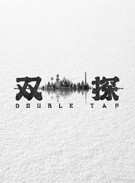 双探