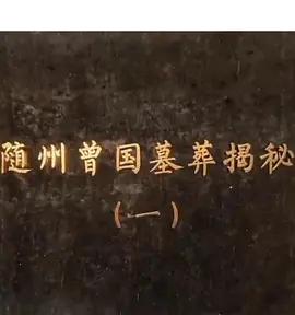 探索·发现：2020随州曾国墓葬揭秘