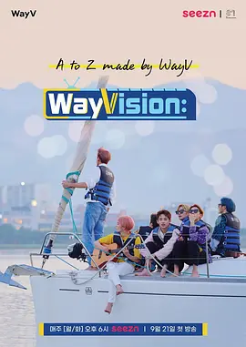 WayVision