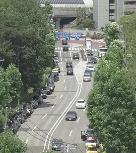 纪实72小时 东京出租车司机：他们的城市之旅