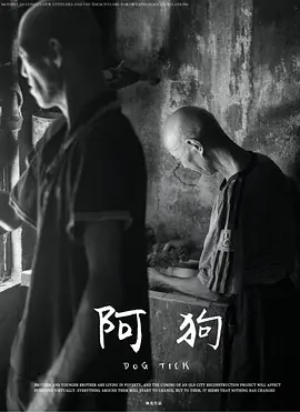 阿狗