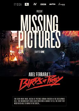Missing Pictures : Birds of Prey