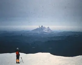 Surviving the Mount St. Helens Disaster