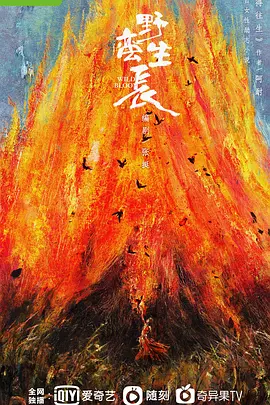 野蛮生长