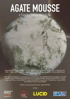 苔藓玛瑙