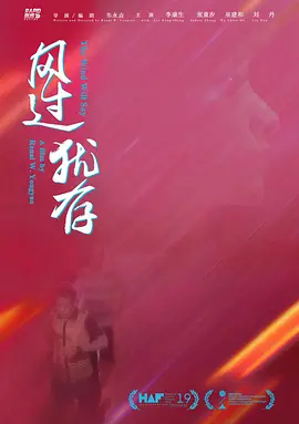 风过犹存