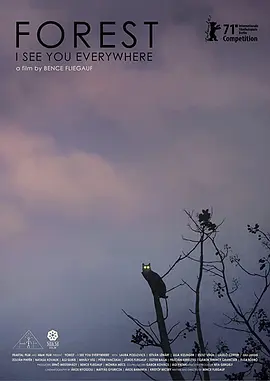 森林随处可见
