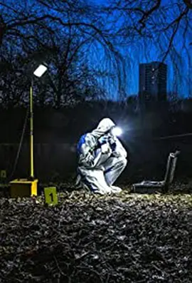 取证：真正的犯罪现场调查 第二季