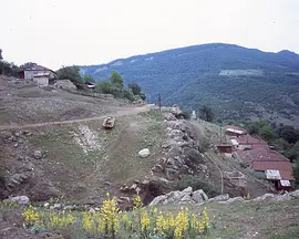 Black Bach Artsakh