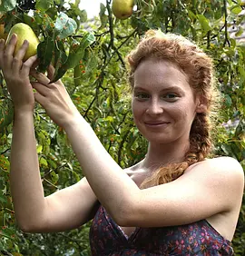 Cesta domů