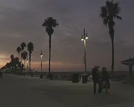 Venice Beach, CA.