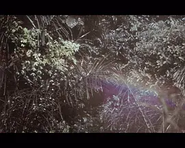 听那些图像的脉搏声