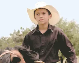 Temporada de campo