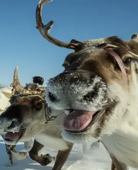 HOREKU-THE STORIES OF TUHARD TUNDRA