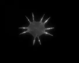 Swiatynia Ukwialu
