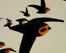 Der Schornsteinsegler