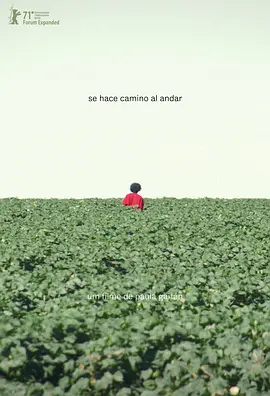 Se hace camino al andar