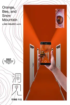 洞见