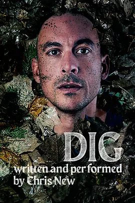 Dig