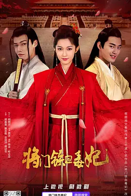 将门铁血毒妃