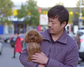 破产家庭