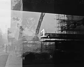 darkly negative prints