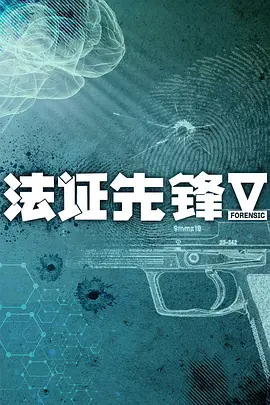 法证先锋5