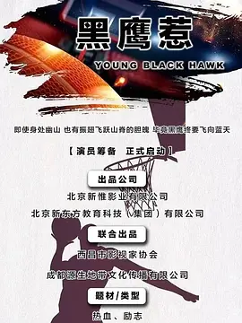 黑鹰惹