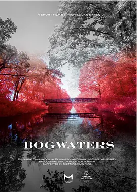 Bogwaters